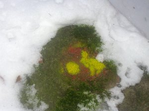 Ausstellung Hasenweg